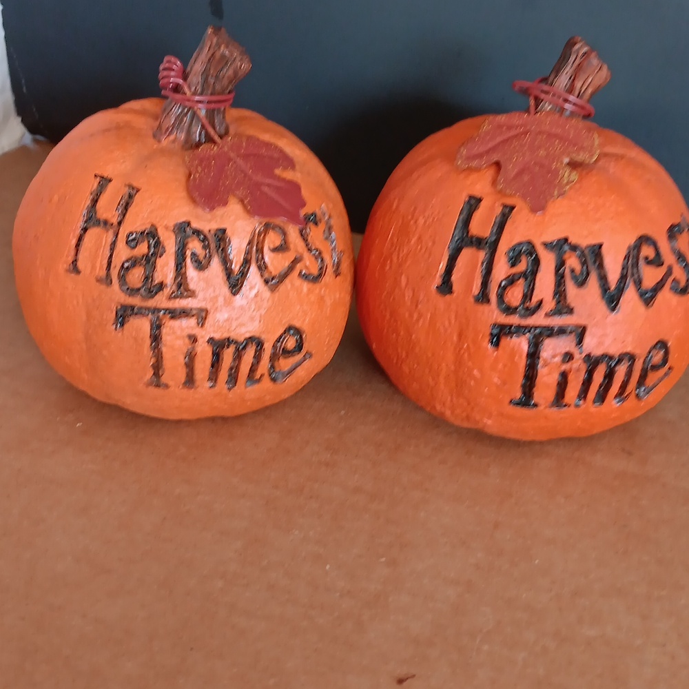 Two Harvest Time Pumpkins